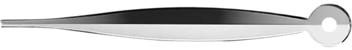 Minute Hand Image - Sylvi Watch Realtime Feature