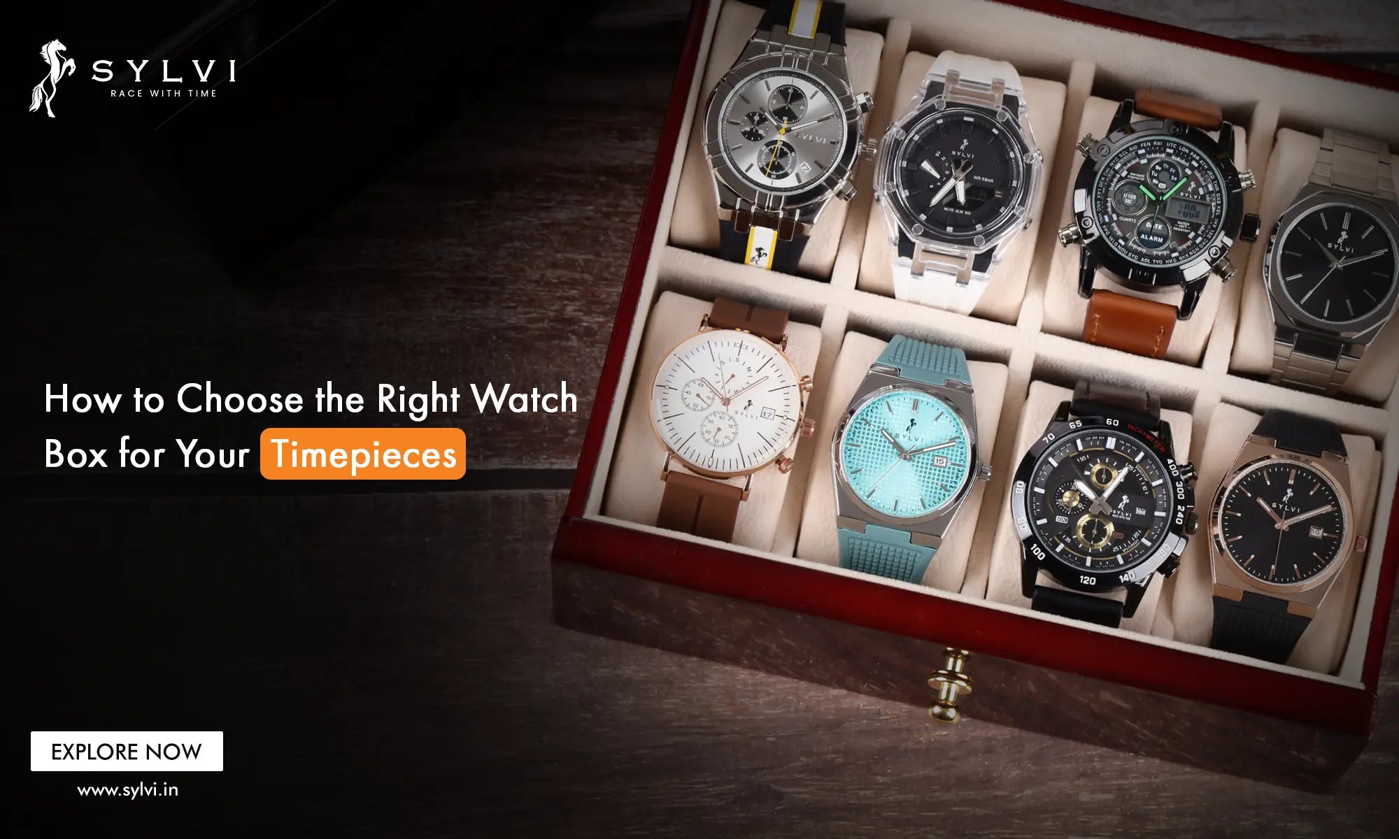 Choosing the Perfect Watch Box: The Ultimate Guide Online | Sylvi