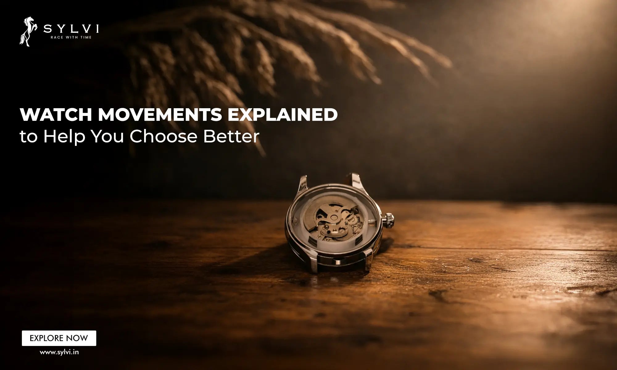 Watch Movements Explained to Help You Choose Better