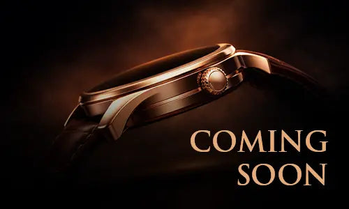 Latest Launch Bolt Collection Page Ad Image