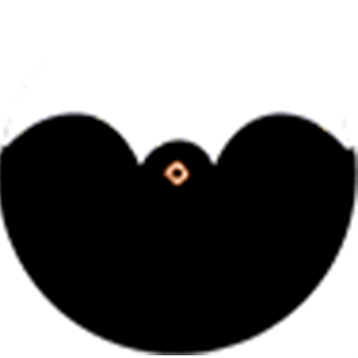 Day Night Outer Image